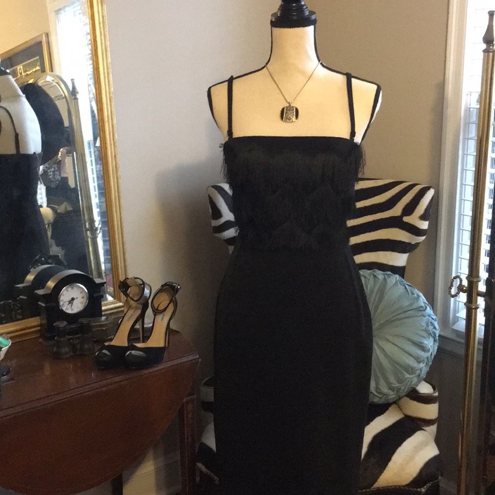 Banana Republic fringe bodice dress NWT
